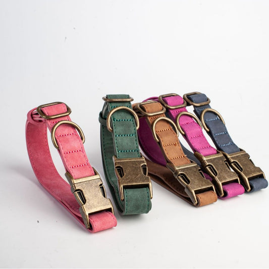 Personalized Leather Dog Collar