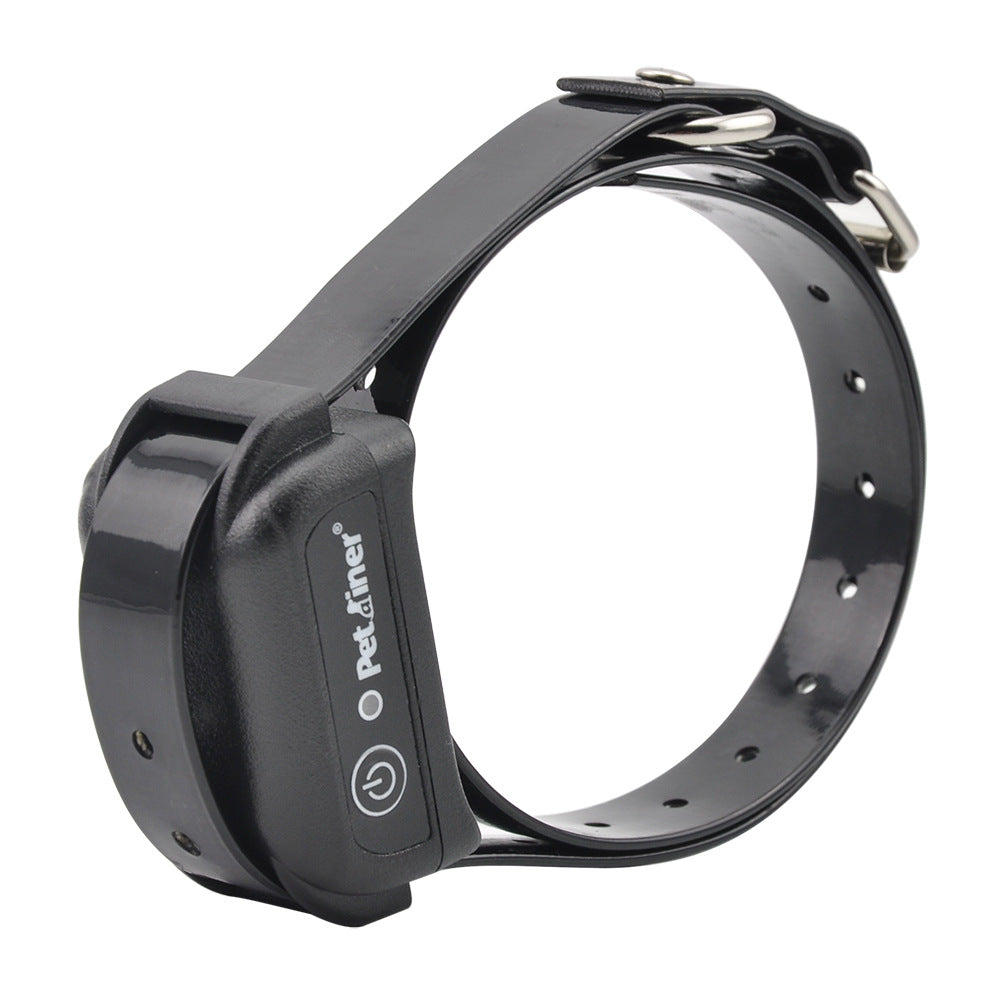 Remote dog training device - view 2