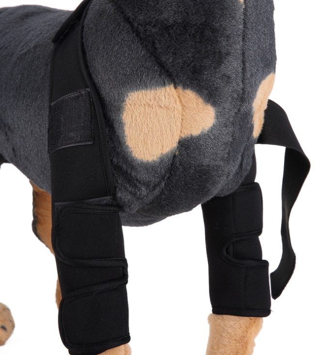 Dog knee brace leg protector - view 3
