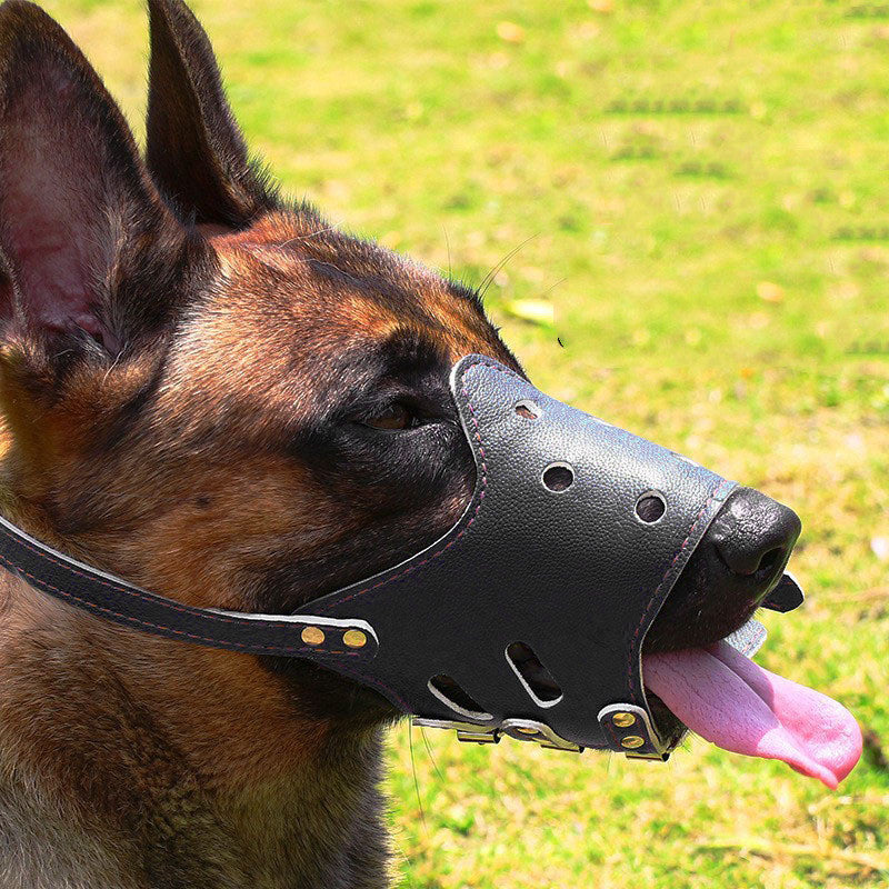 Anti-bark dog muzzle - view 3