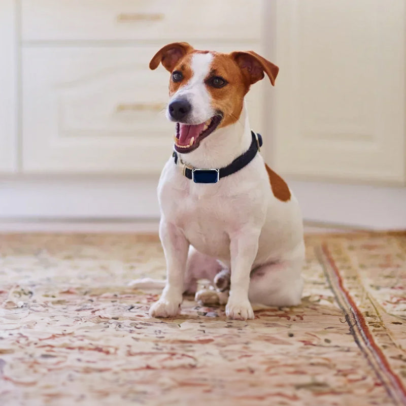 G12 Smart GPS Pet Tracker