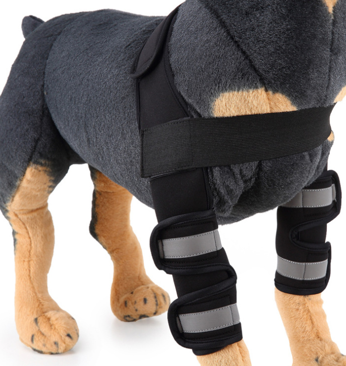 Dog knee brace leg protector - view 5