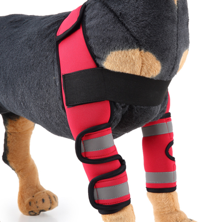 Dog knee brace leg protector - view 7