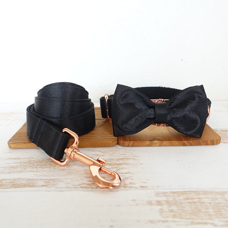 Metal buckle dog collar - view 6