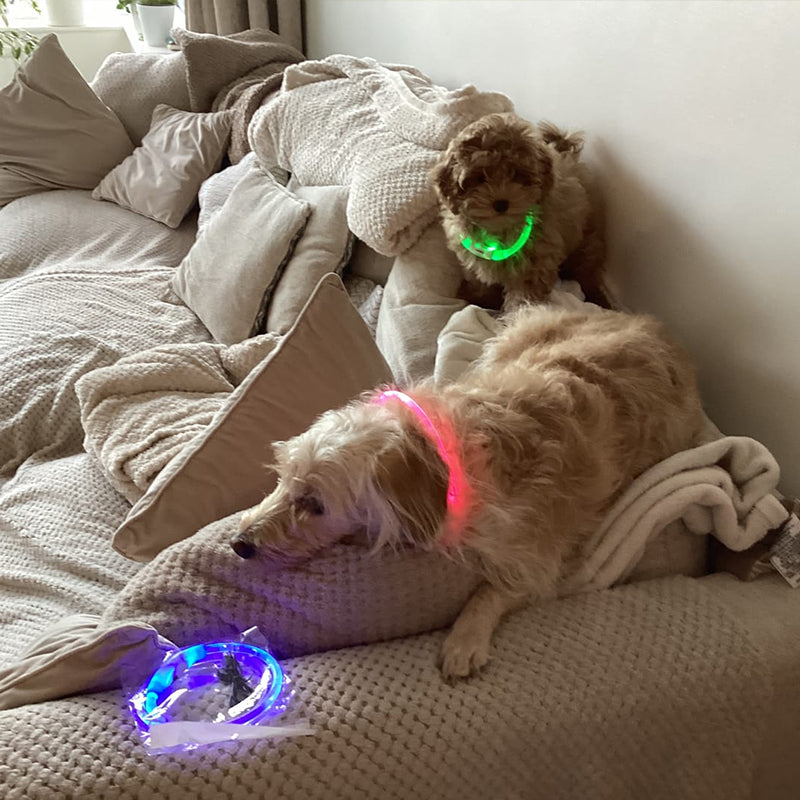 LED Dog Collar for Night Safety