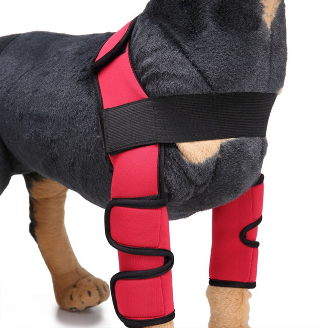 Dog knee brace leg protector - view 6