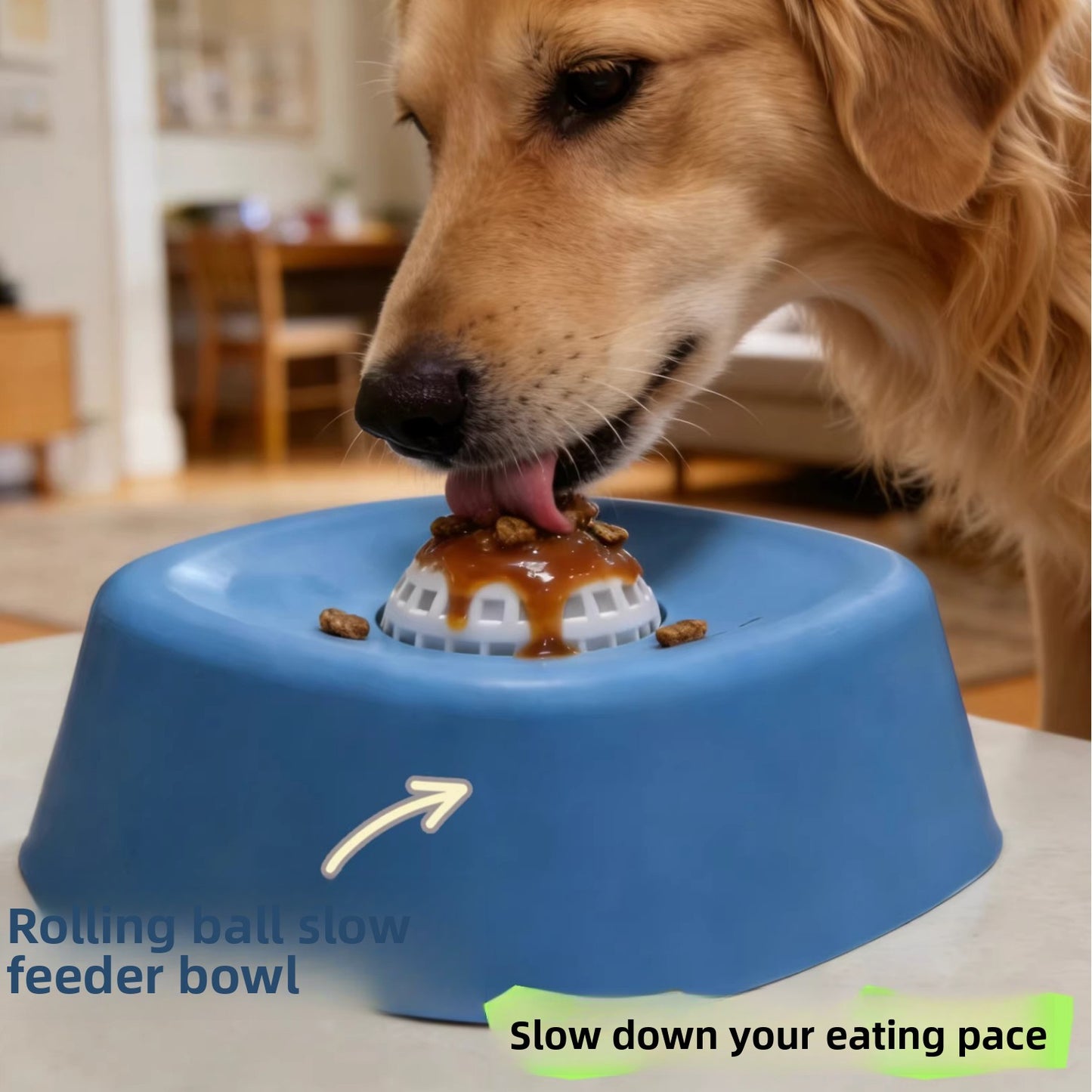 Dog Slow Feeder Lick Bowl
