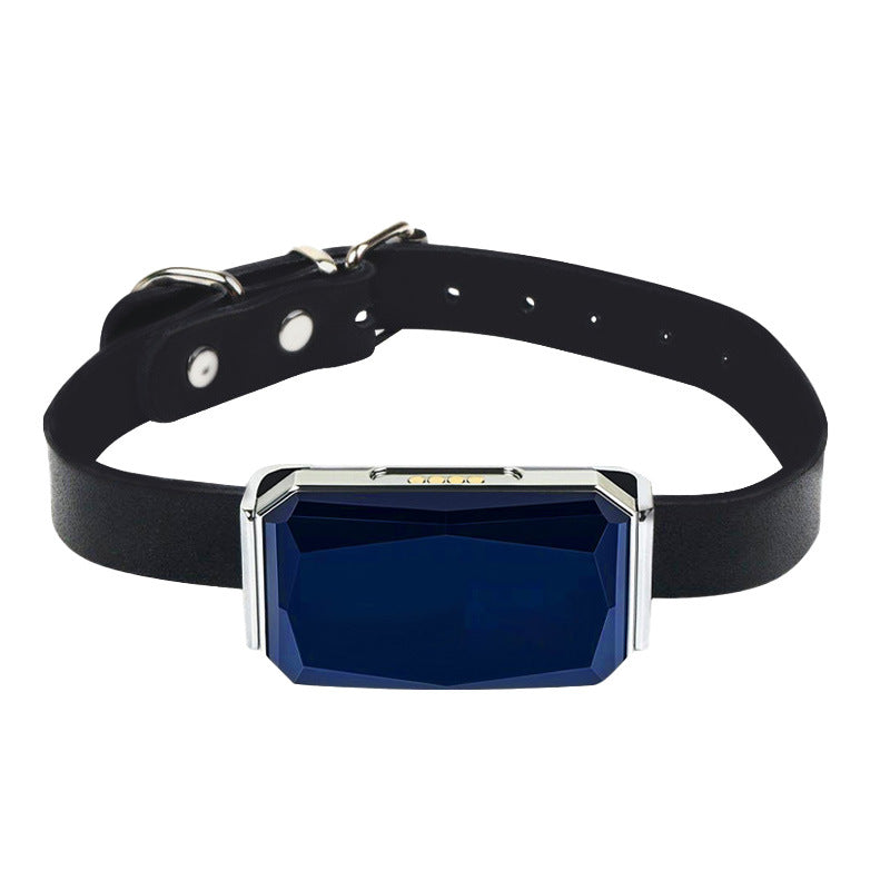 G12 Smart GPS Pet Tracker