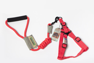Pet Leash Set for Small Dogs and Cats with Collar