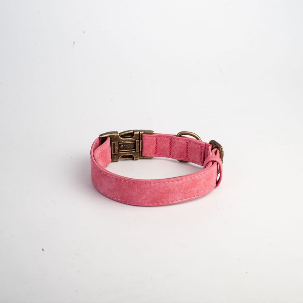 Personalized Leather Dog Collar
