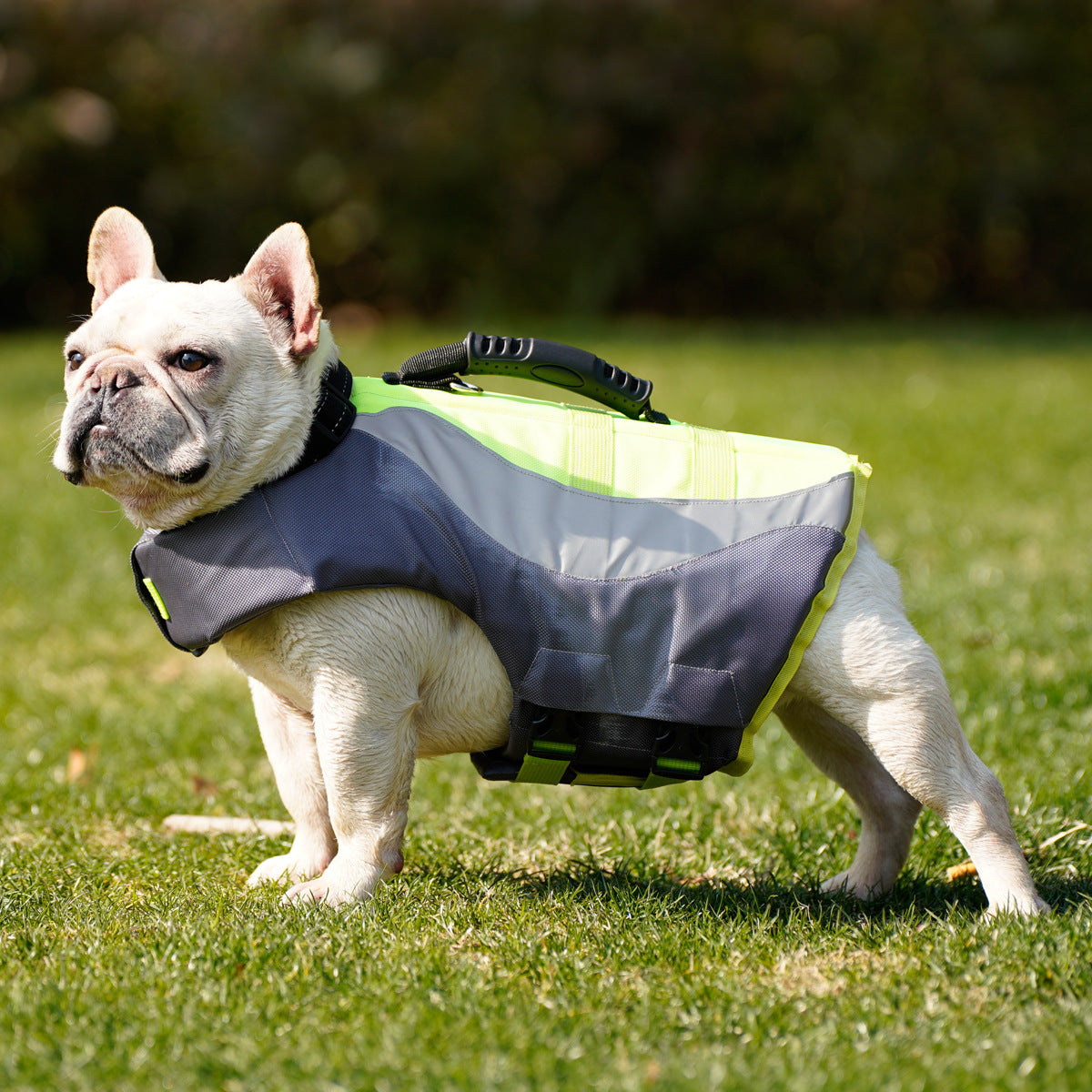 Reflective dog life jacket - view 3