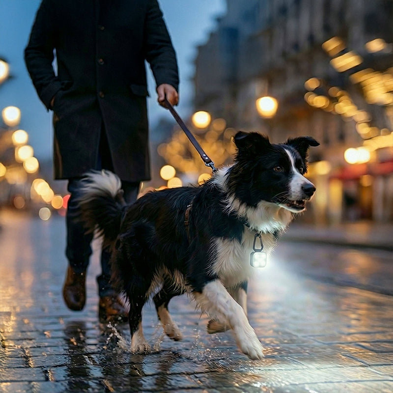 LED Pet Safety Light