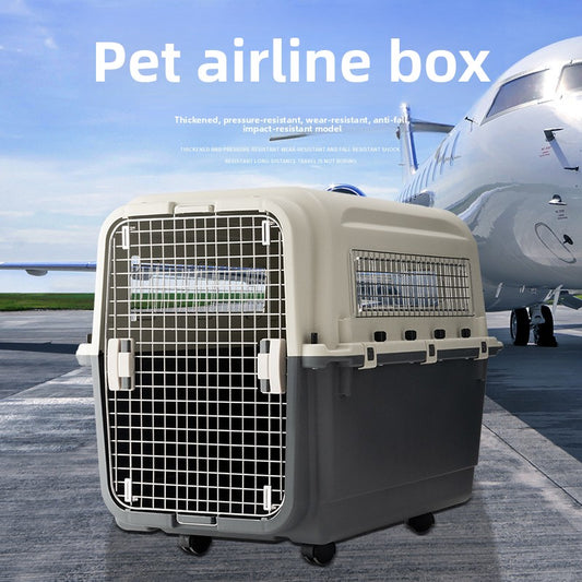 lightweight portable dog carrier