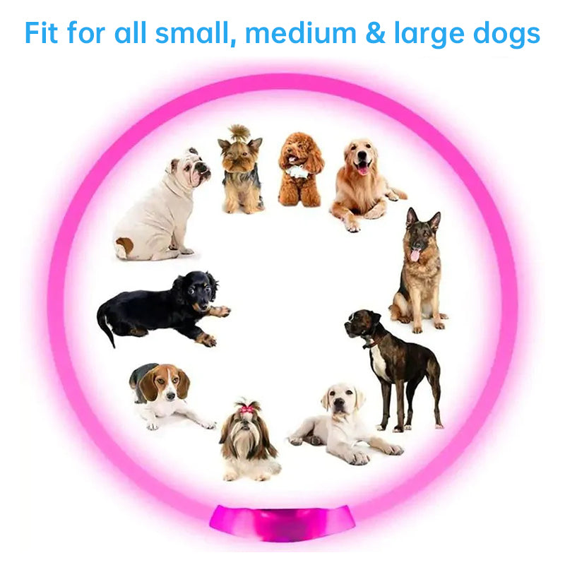 LED Dog Collar for Night Safety