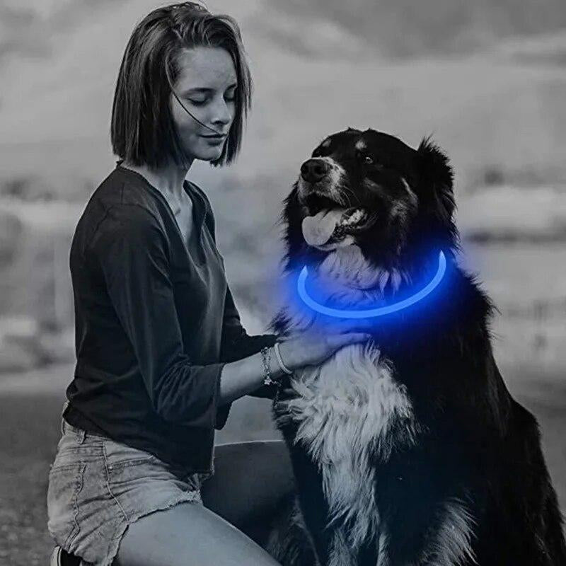 LED Dog Collar for Night Safety