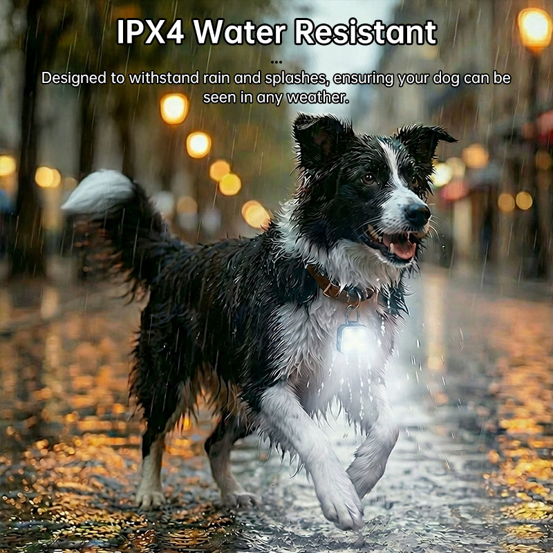 LED Pet Safety Light