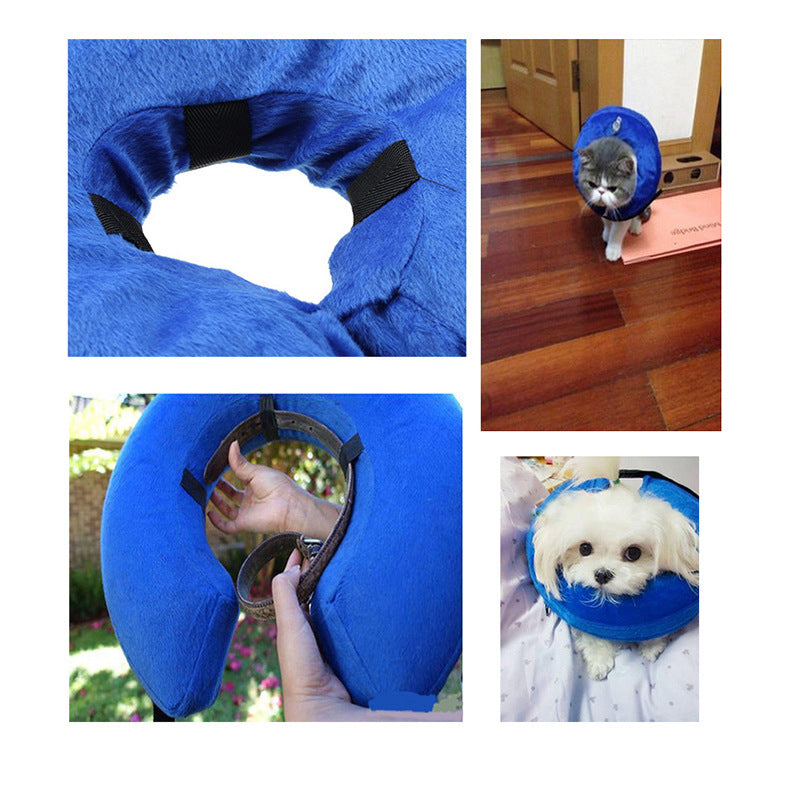 inflatable pet collar