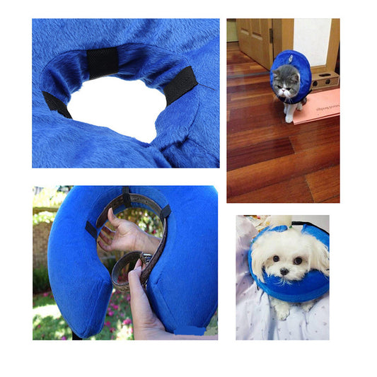 inflatable pet collar