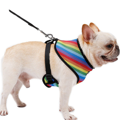 Rainbow Chest Strap