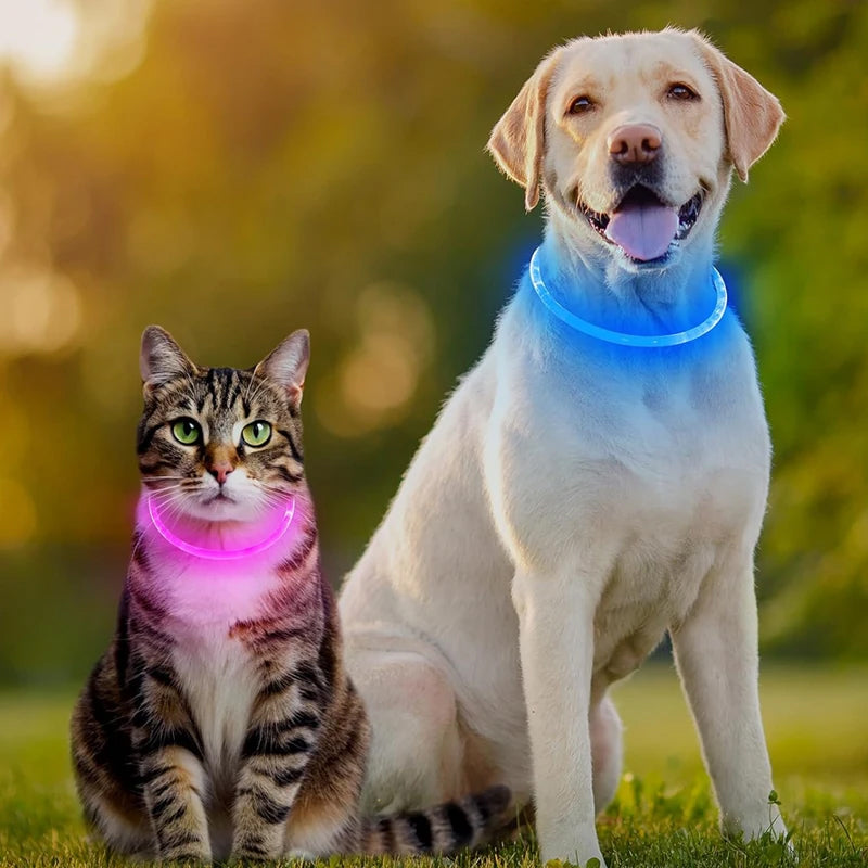 LED Dog Collar for Night Safety