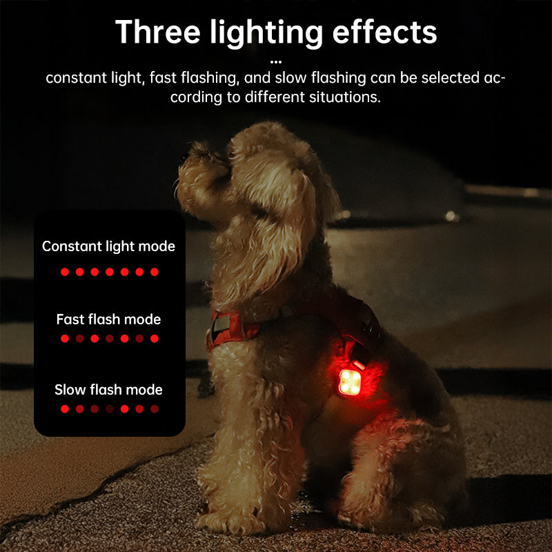 LED Pet Safety Light