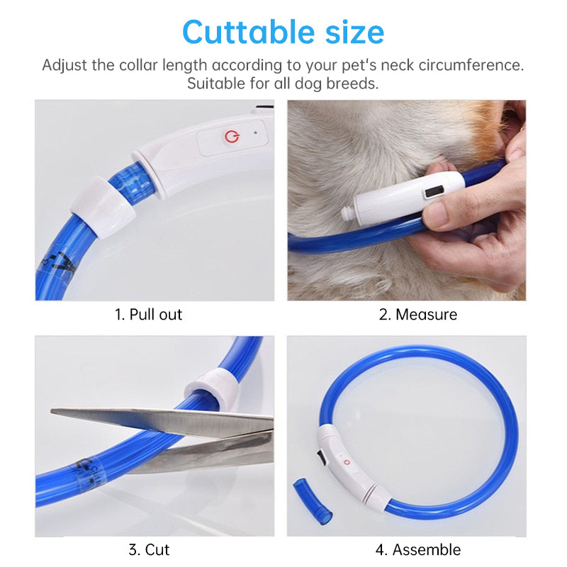 LED Dog Collar for Night Safety