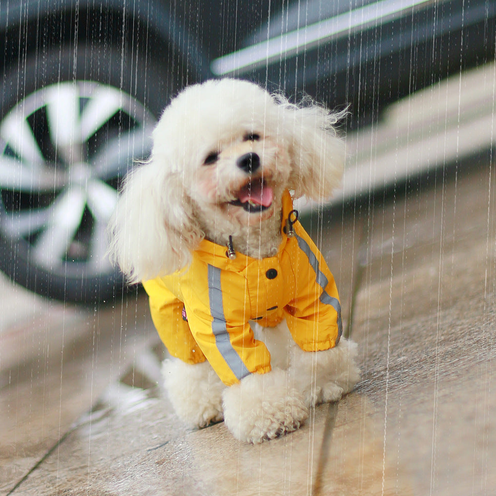 Dog Raincoat for All Seasons