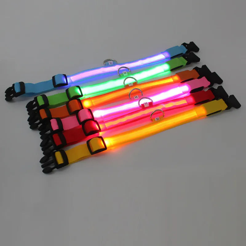 LED Dog Collar for nighttime safety
