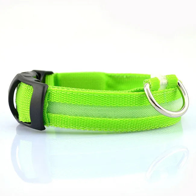 LED Dog Collar for nighttime safety