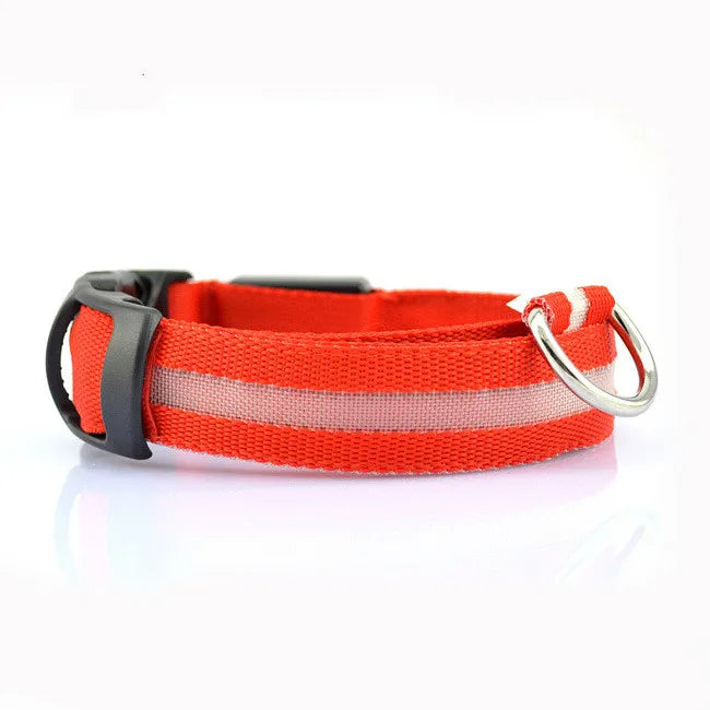LED Dog Collar for nighttime safety