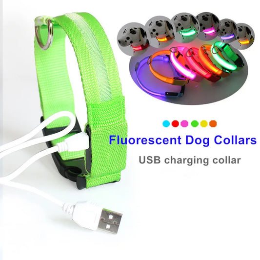 LED Dog Collar for nighttime safety
