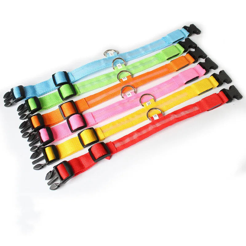 LED Dog Collar for nighttime safety