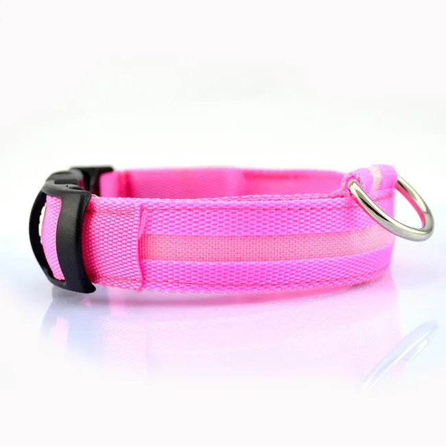 LED Dog Collar for nighttime safety