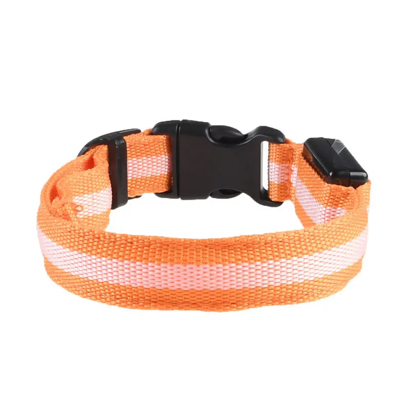 LED Dog Collar for nighttime safety