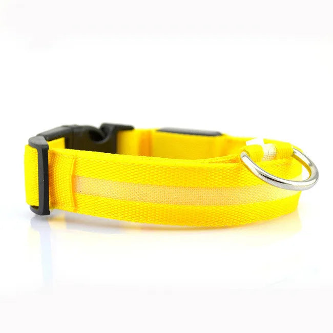 LED Dog Collar for nighttime safety