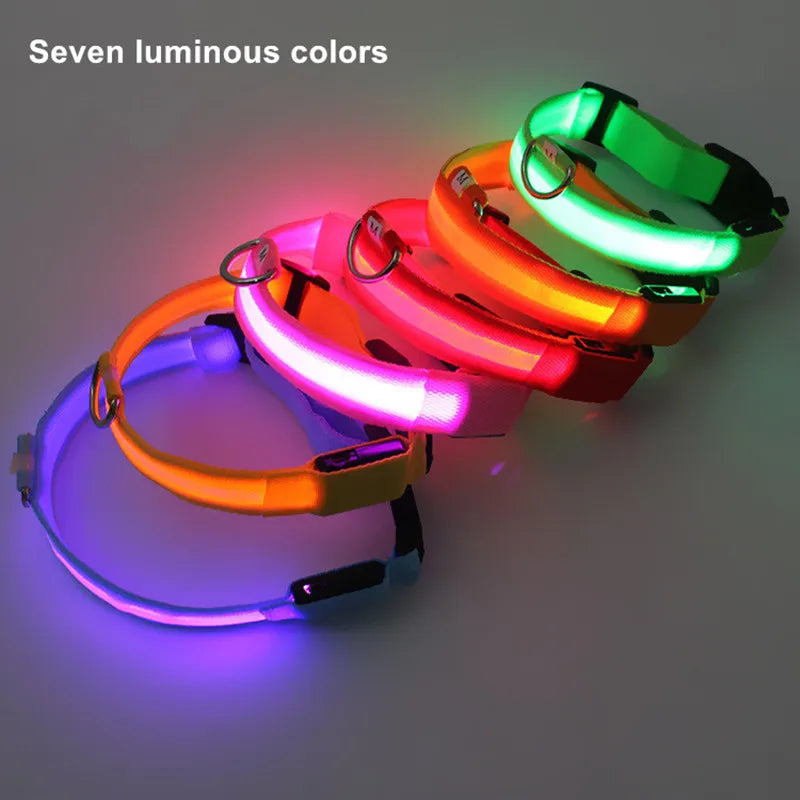 LED Dog Collar for nighttime safety