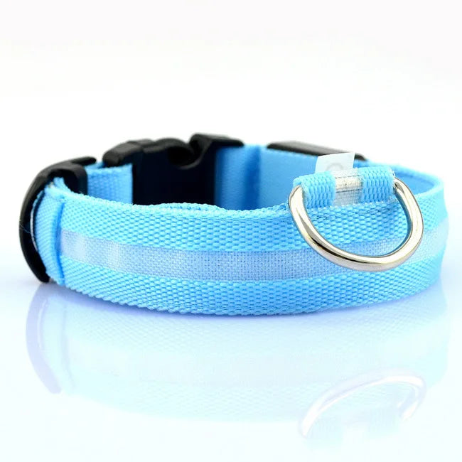 LED Dog Collar for nighttime safety