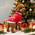 Christmas Print Pet Sweatshirt