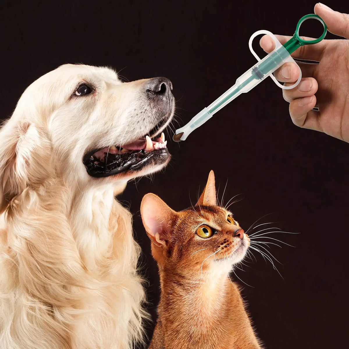 Easy Pill Dispenser for Cats & Dogs