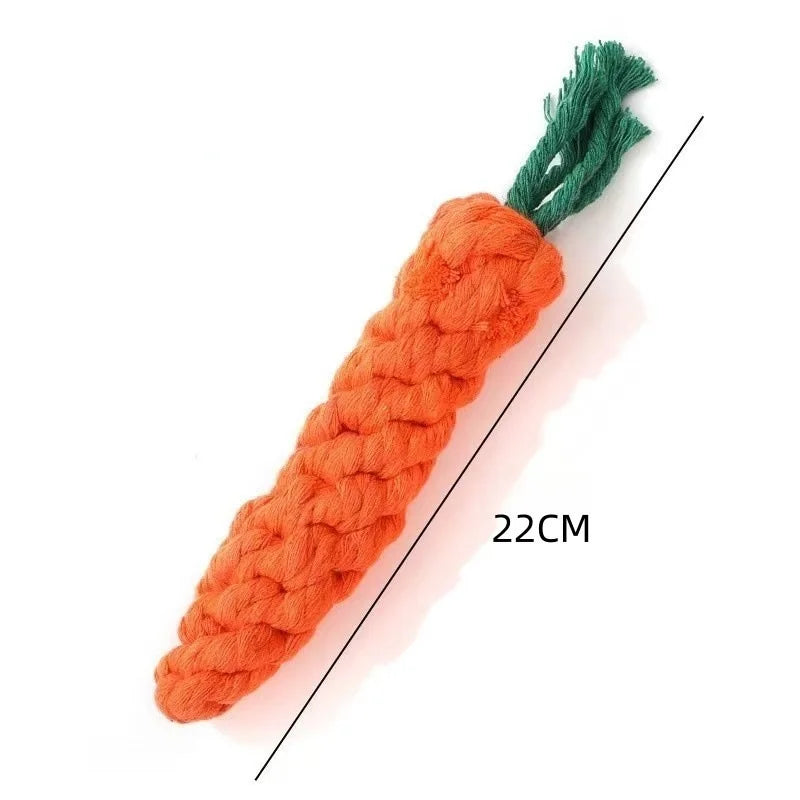 Tough Squeaky Plush Chew Toy