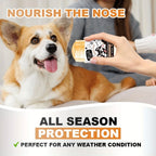 Nose & Paw Balm Stick with Honey