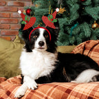 Christmas Headband Costume