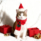 Christmas Santa Hat & Scarf Set