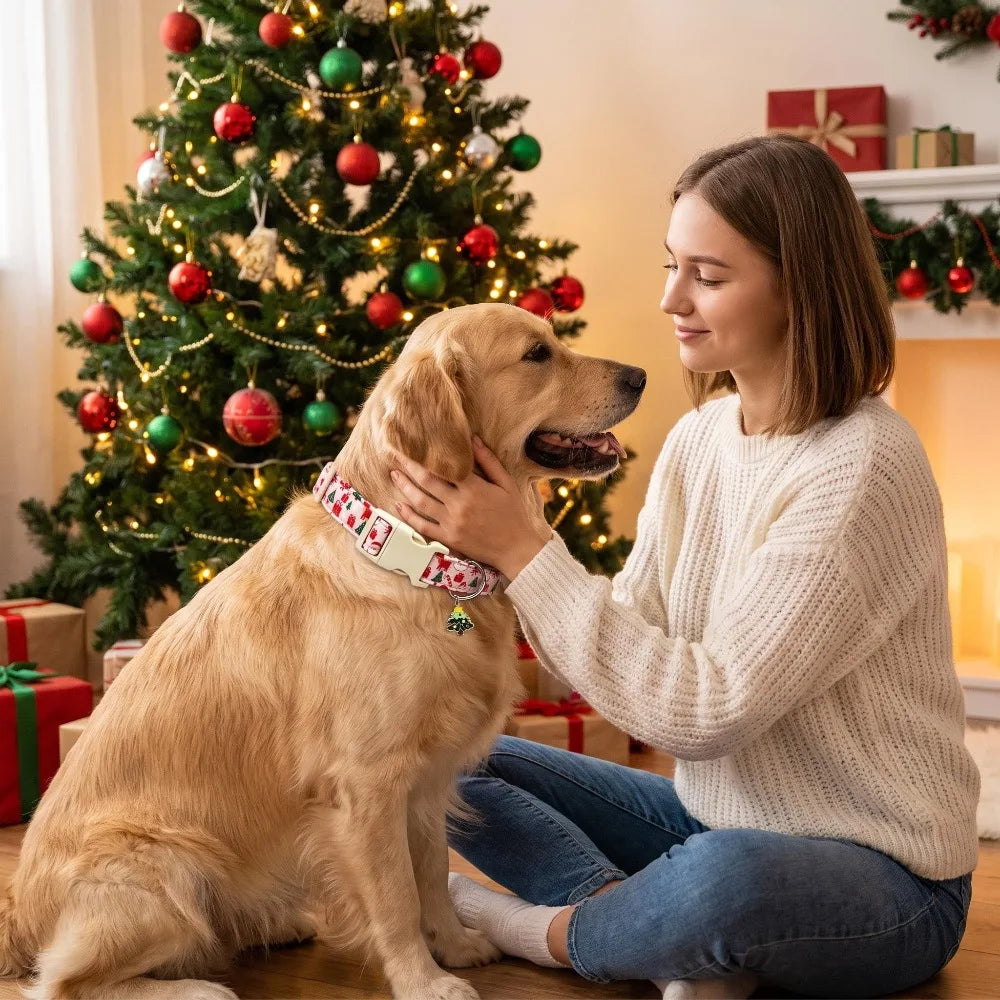 Festive Christmas Print Collar