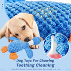 Tough Squeaky Plush Chew Toy