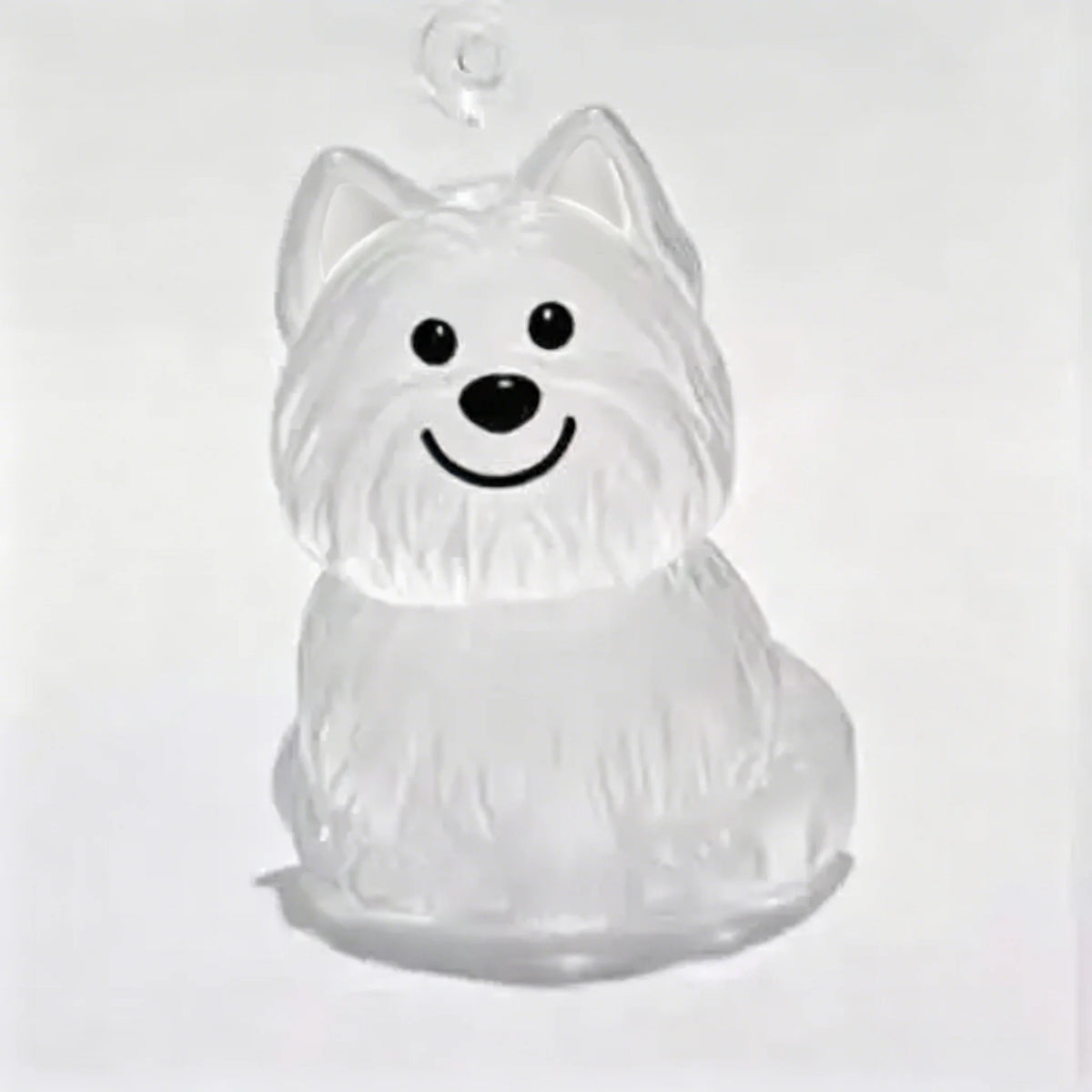 Pet Hair Keepsake Keychain