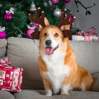 Christmas Headband Costume