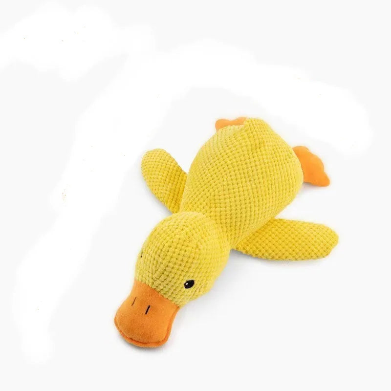 Tough Squeaky Plush Chew Toy