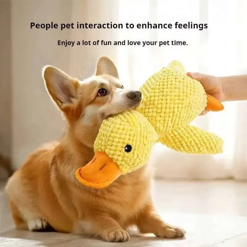 Tough Squeaky Plush Chew Toy