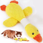 Tough Squeaky Plush Chew Toy
